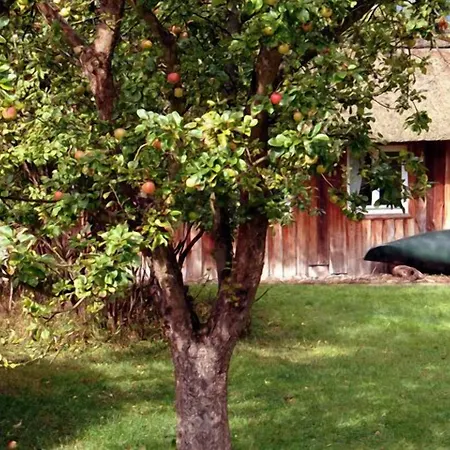 Seehotel Am Neuklostersee 4*