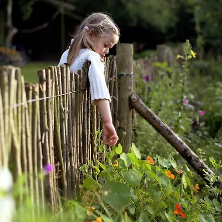 Hotel Seehotel Am Neuklostersee 4*