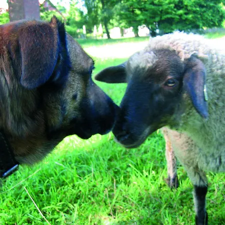 Seehotel Am Neuklostersee